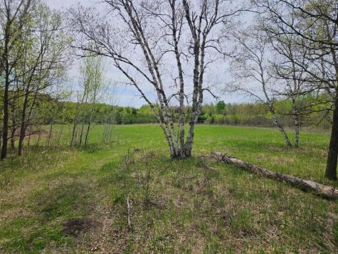 41721 County 2 Bagley MN 56621