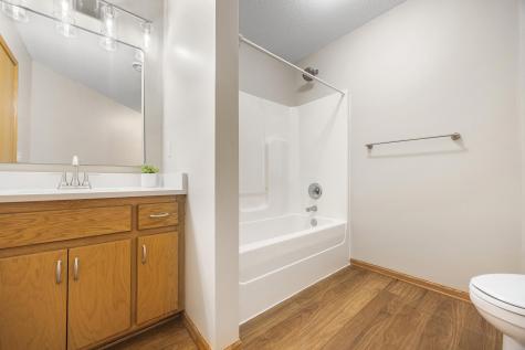 609 Danielson Court Maple Lake MN 55358