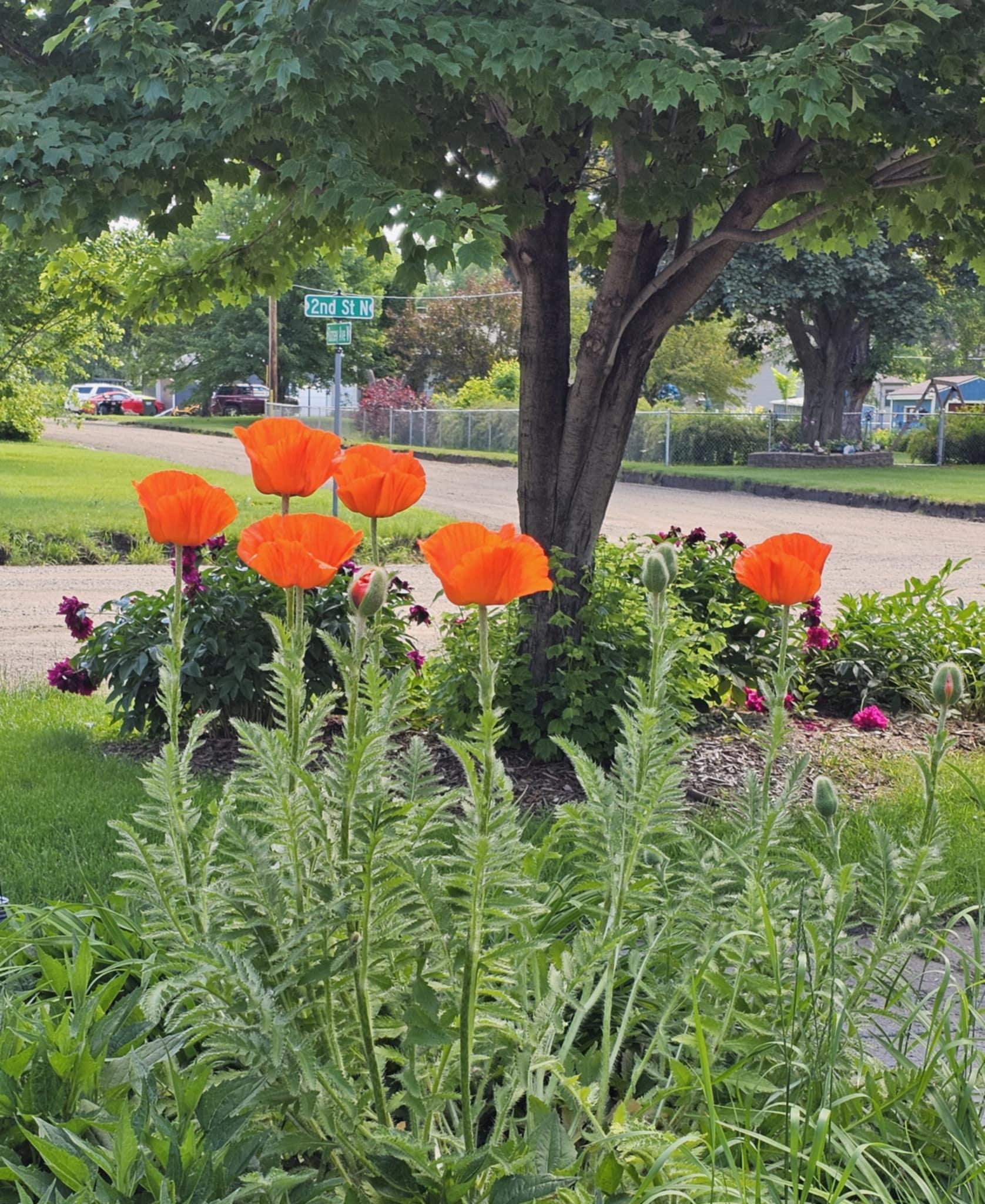 410 2nd Street N Atwater MN 56209