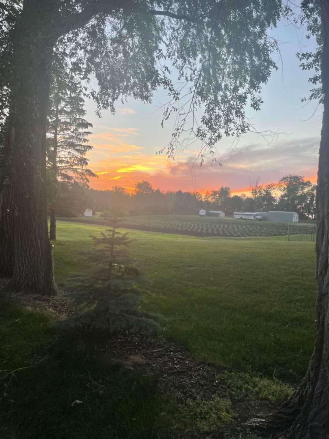 410 2nd Street N Atwater MN 56209