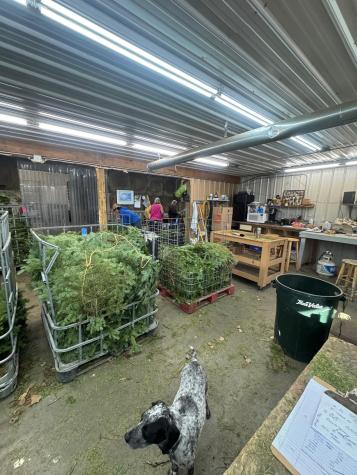 2585 State 200 NE Remer MN 56672