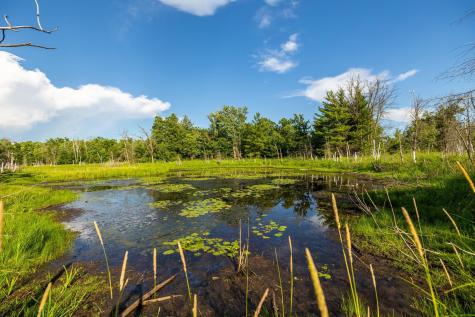 5788 County Road C Webster WI 54893