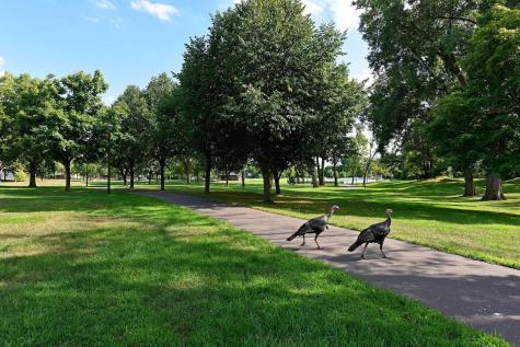 7310 Harold Avenue Golden Valley MN 55427