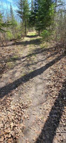 17801 Bear Creek Angle Inlet MN 56711