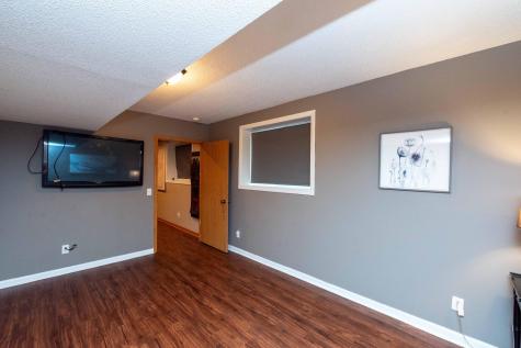 9343 Hillside Trail S Cottage Grove MN 55016