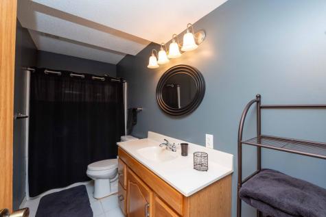 9343 Hillside Trail S Cottage Grove MN 55016