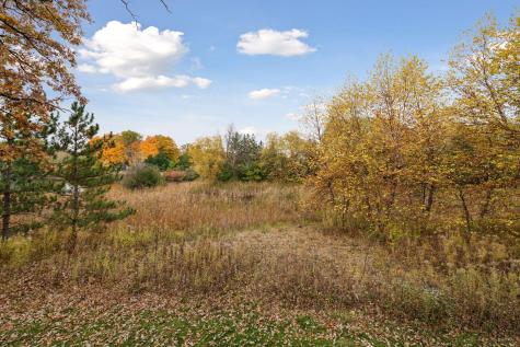 425 Carpenters Point Wayzata MN 55391