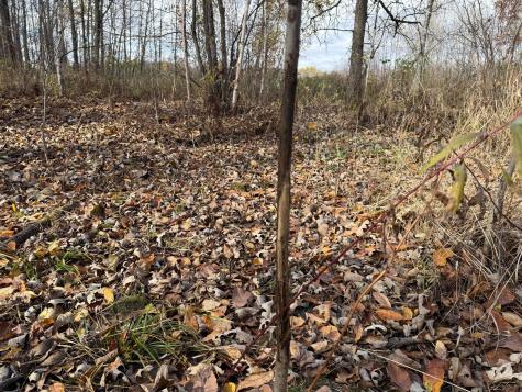 25690 Groningen Road Sandstone MN 55072