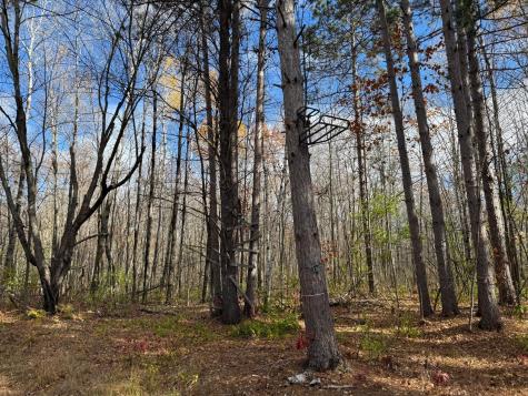 25690 Groningen Road Sandstone MN 55072