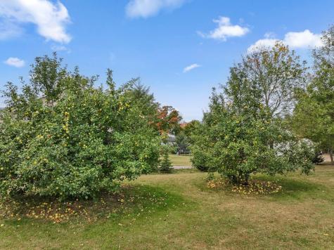 12470 W 270th Street Belle Plaine MN 56011