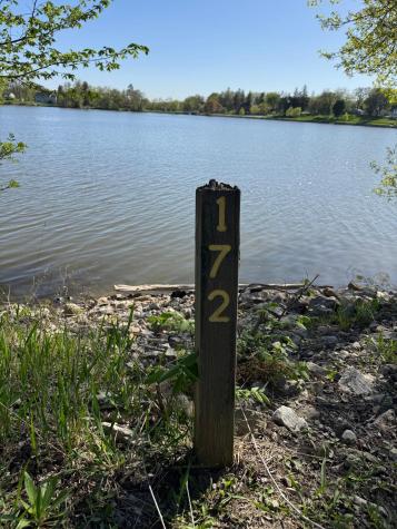 203 South Lane Albert Lea MN 56007