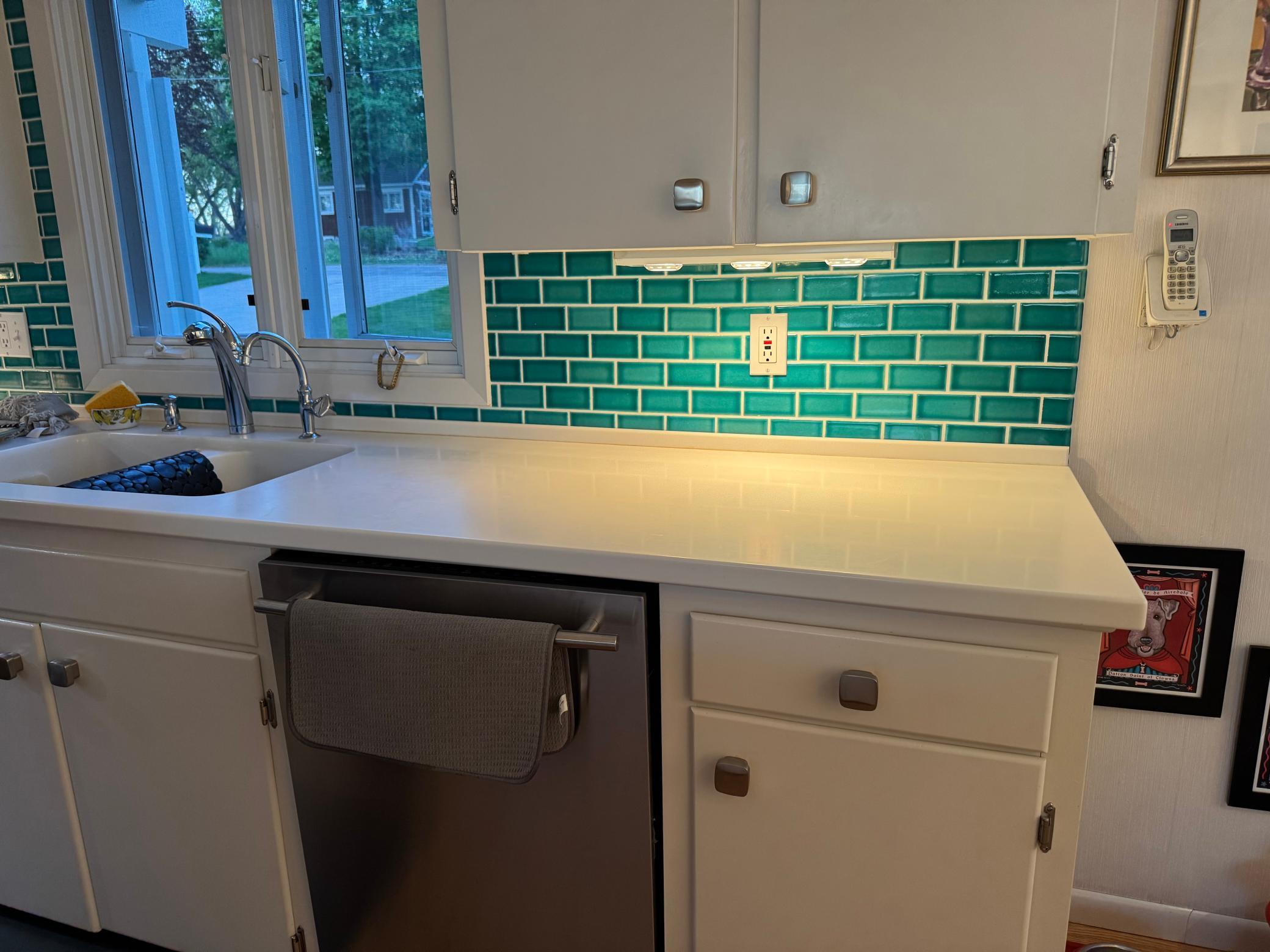 203 South Lane Albert Lea MN 56007