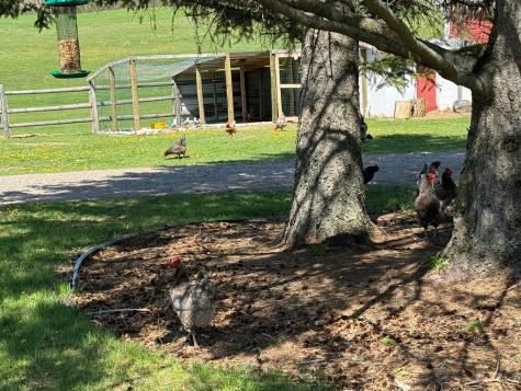 20489 State Highway 65 Mcgrath MN 56350