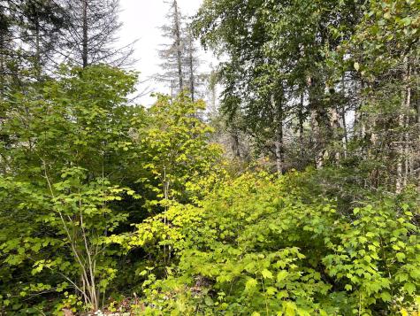 9519 Ccc Trail Isabella MN 55607