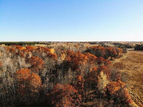 1353 State 371 NW Backus MN 56435