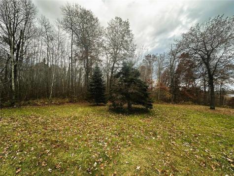 1353 State 371 NW Backus MN 56435