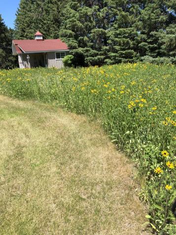 22603 Fable Road Saint Augusta MN 56301