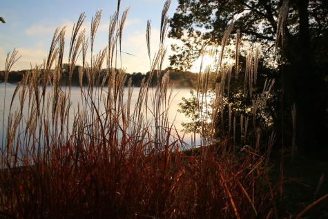 630 Carver Beach Road Chanhassen MN 55317