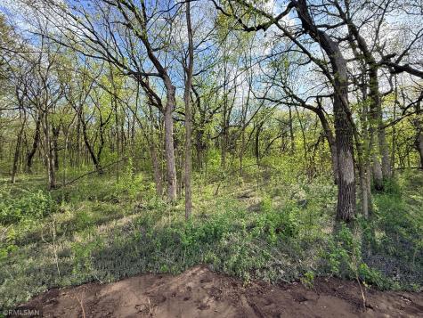 8816 147th Ave NW 147th Avenue NW Ramsey MN 55303