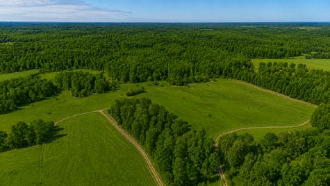 3231 Highway 65 Mora MN 55051