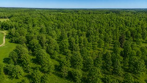 3231 Highway 65 Mora MN 55051