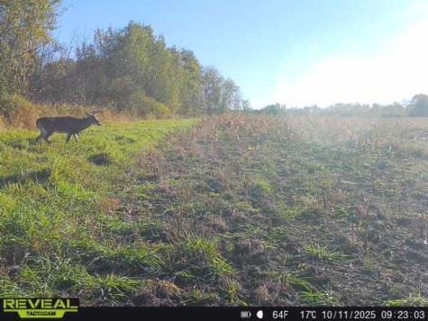 3231 Highway 65 Mora MN 55051