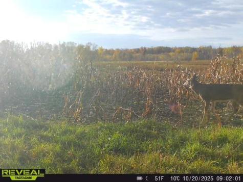 3231 Highway 65 Mora MN 55051