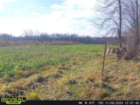 3231 Highway 65 Mora MN 55051