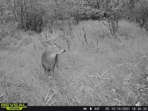 3231 Highway 65 Mora MN 55051