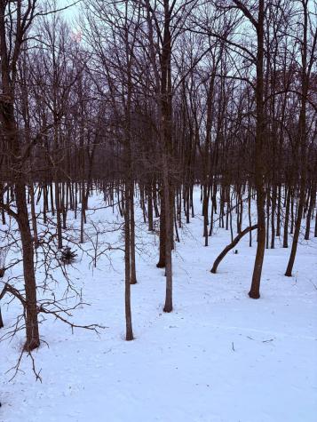 610 Linden Avenue Rice Lake WI 54868