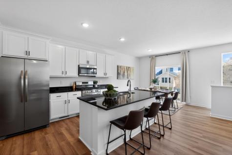 14665 Sodium Street Ramsey MN 55303