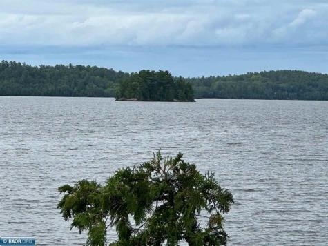 5441 Ely Island N Tower MN 55790