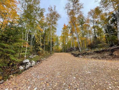 5441 Ely Island N Tower MN 55790
