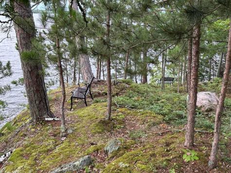 5441 Ely Island N Tower MN 55790