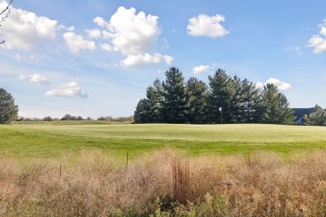 1389 Palmer Drive N Lake Elmo MN 55042