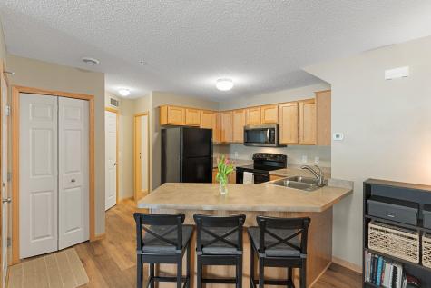 16373 Elm Creek Lane Lakeville MN 55044