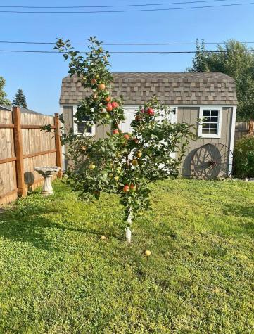 120 N 2nd Avenue N Wahpeton ND 58075