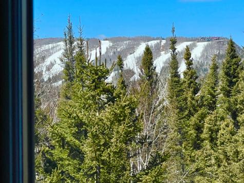 21 Turnagain Trail Lutsen MN 55612