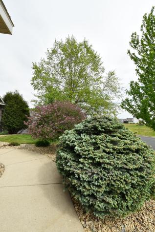 818 Augusta Avenue Zumbrota MN 55992