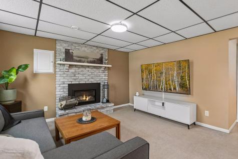 8700 Ironwood Avenue S Cottage Grove MN 55016