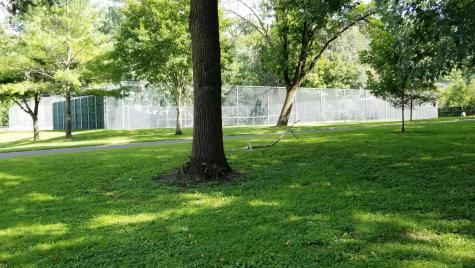 5217 Clear Spring Drive Minnetonka MN 55345
