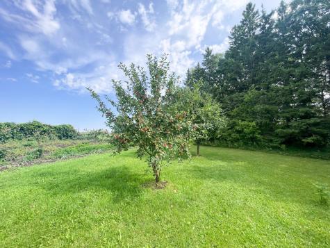 49404 109th Avenue Gonvick MN 56644