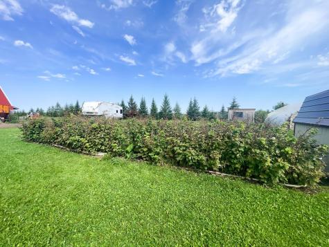 49404 109th Avenue Gonvick MN 56644