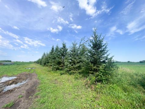 49404 109th Avenue Gonvick MN 56644
