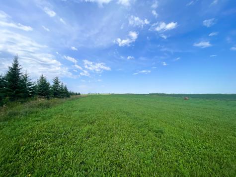 49404 109th Avenue Gonvick MN 56644