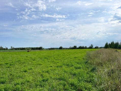 49404 109th Avenue Gonvick MN 56644