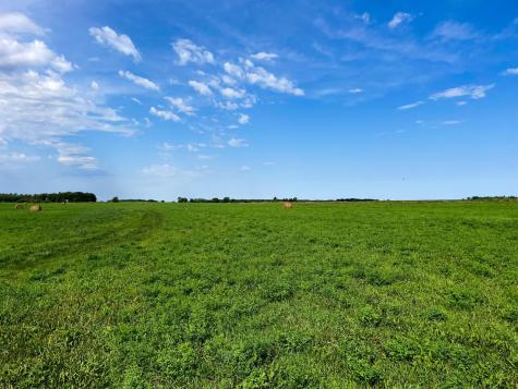 49404 109th Avenue Gonvick MN 56644