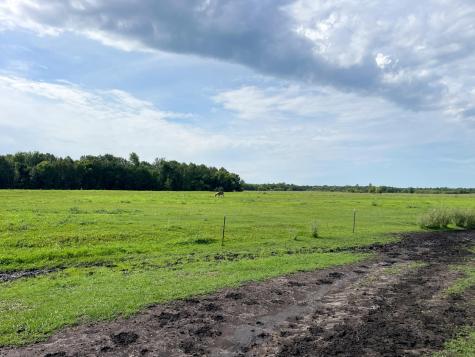 49404 109th Avenue Gonvick MN 56644