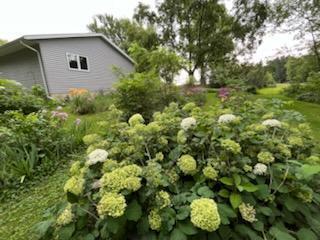 68540 300th Street Hartland MN 56042