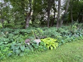 68540 300th Street Hartland MN 56042